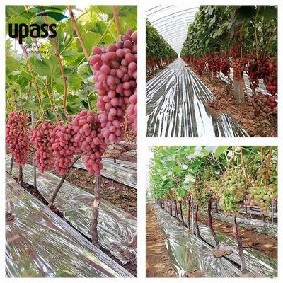 Silver Aluminum Foil PE Agricultural Film Roll Reflective Mylar Garden Fruit Tree Cherries Ground Covering Plastic Product