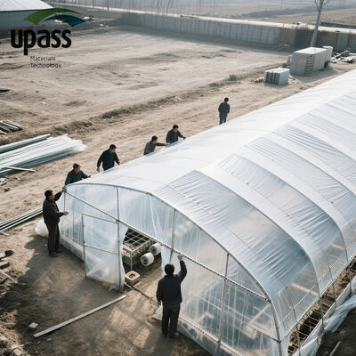 UV Resistant Agricultural Plastic Film Cover Roll Greenhouse Plastic Film From Trusted Suppliers for Agriculture
