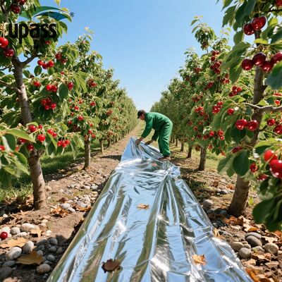 Odblaskowa PET powlekana folia aluminiowa Mylar Mulch Film Rolnictwo Plastiki do projektów energii słonecznej do formowania dmuchowego